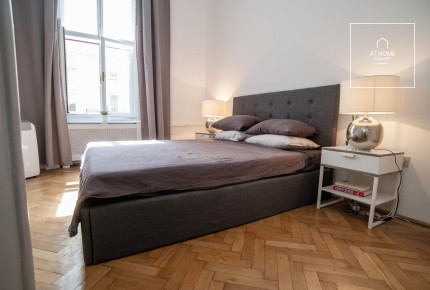 Charming 2 bedroom apartment next to Four Seasons hotel, Budapest V. district