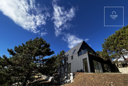 Panoramic newly built semi-detached house in Budaörs