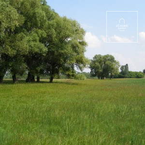 XII. district, in the Magasút district, a panoramic building plot for sale close to the forest