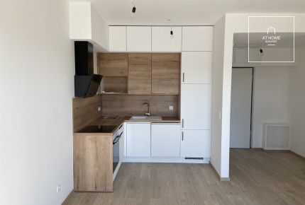 A newly built one-bedroom apartment is available For rent in the 11th district of Budapest, Budapart.