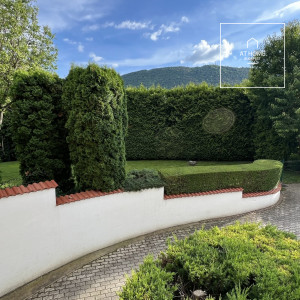 Garden-connected apartment with panoramic views in a green area for rent in the 3rd district of Budapest, Testvérhegy