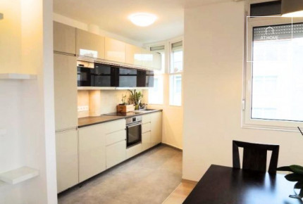 Wonderful apartment for rent Budapest I. district, Vár