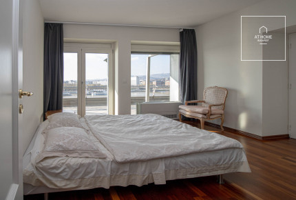 Penthouse apartment with huges terrace overlooking the Danube Budapest IX. district, Millenium City Center