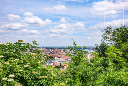 Exclusive apartment with garden connection in Budapest II. district