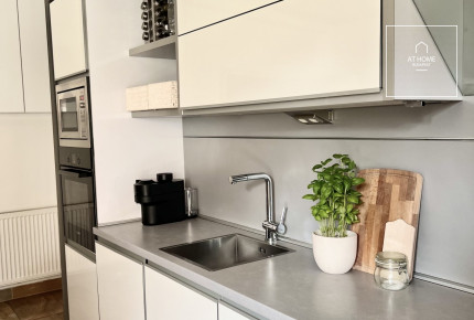 Prémium apartment for rent in Budapest, 2nd district, Viziváros