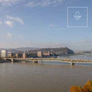 Penthouse apartment with huges terrace overlooking the Danube Budapest IX. district, Millenium City Center