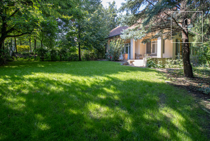 Sunny detached house with pool Budapest XII. district, Normafa