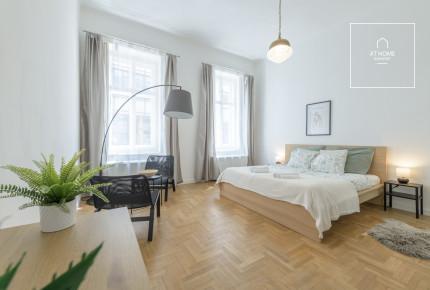 Apartment with garden for rent in Budapest 6th district,  Külső-Terézváros