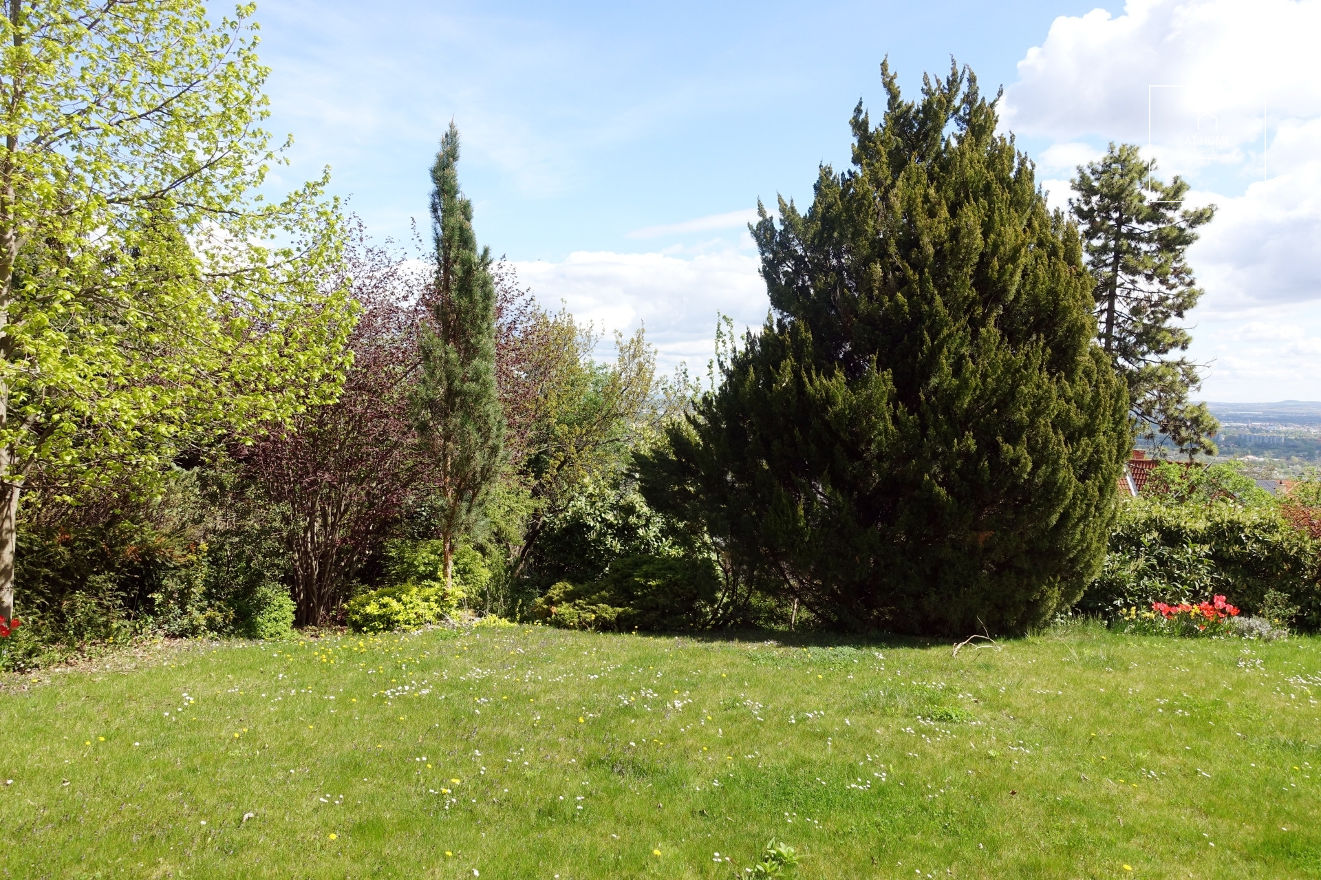 Panoramic Family Home in One of the Most Desirable Areas of Testvérhegy, District 3 of Budapest