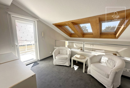 Refurbished detached house for rent  II/A. district, Pesthidegkút