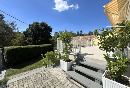 Refurbished detached house for rent  II/A. district, Pesthidegkút