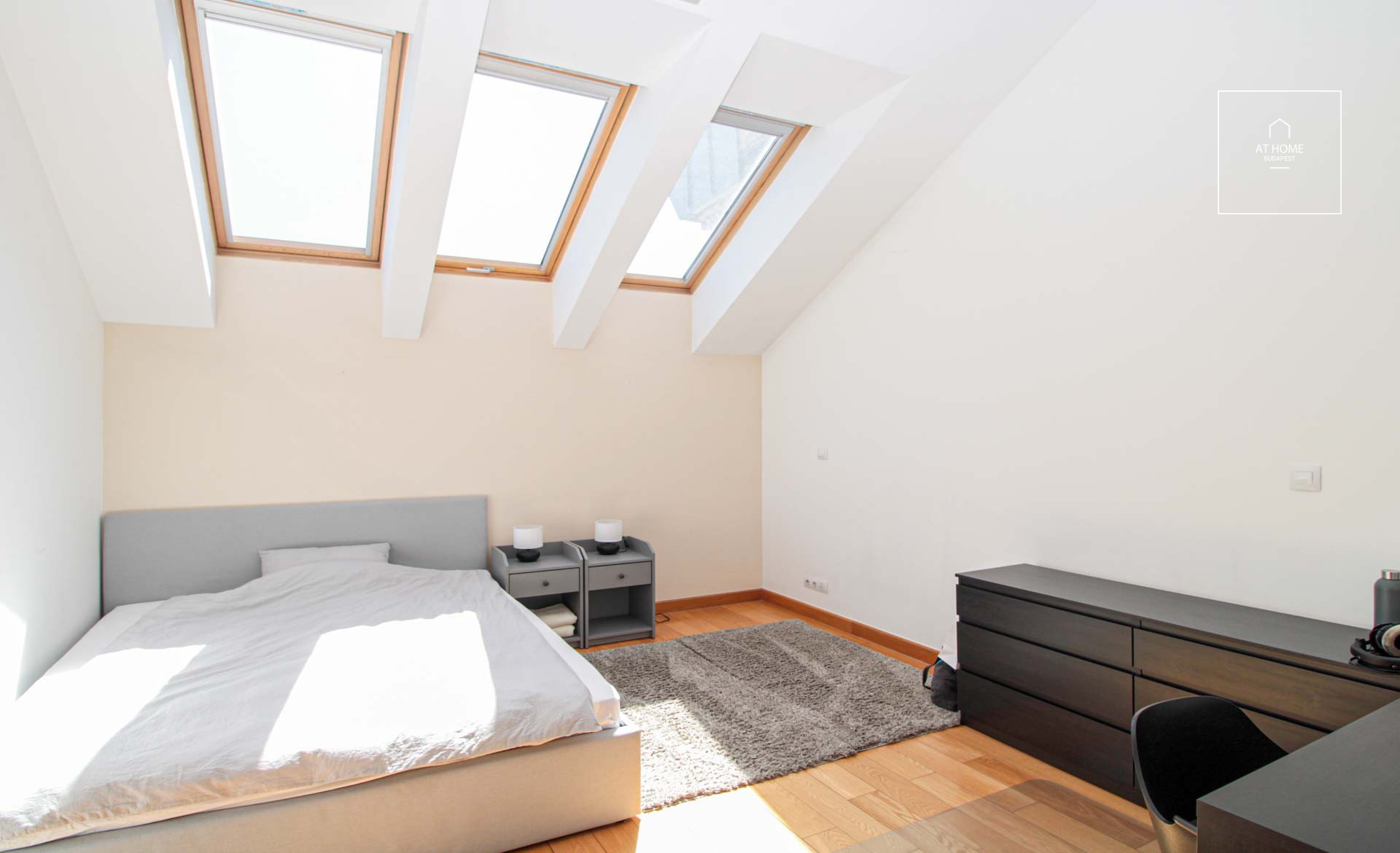 Exclusive apartment  in Budapest VI. district