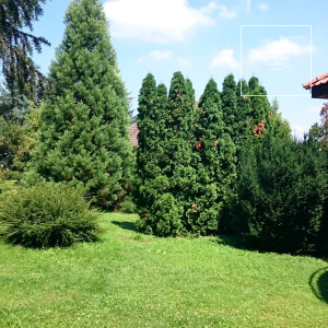 Nice detached house  Budapest III. district, Remetehegy