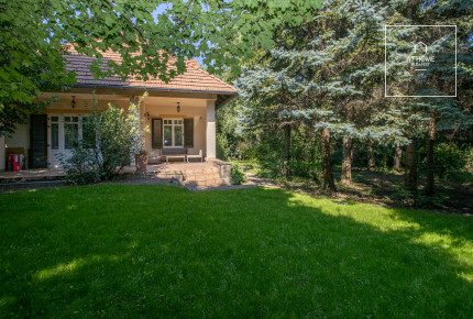 Sunny detached house with pool Budapest XII. district, Normafa