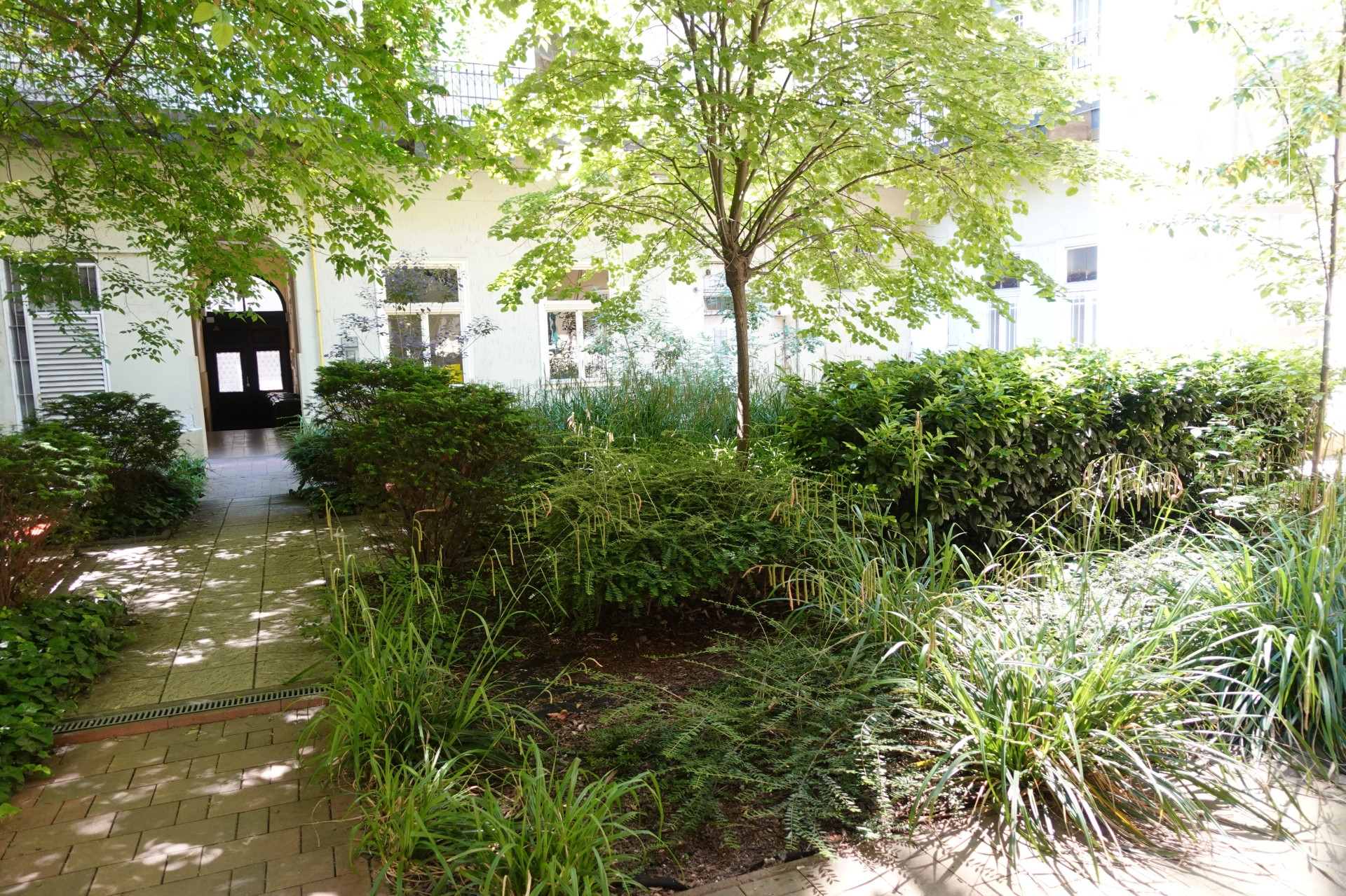 2 bedroom classical style apartment for rent in the II district on the bank of the Danube, Budapest