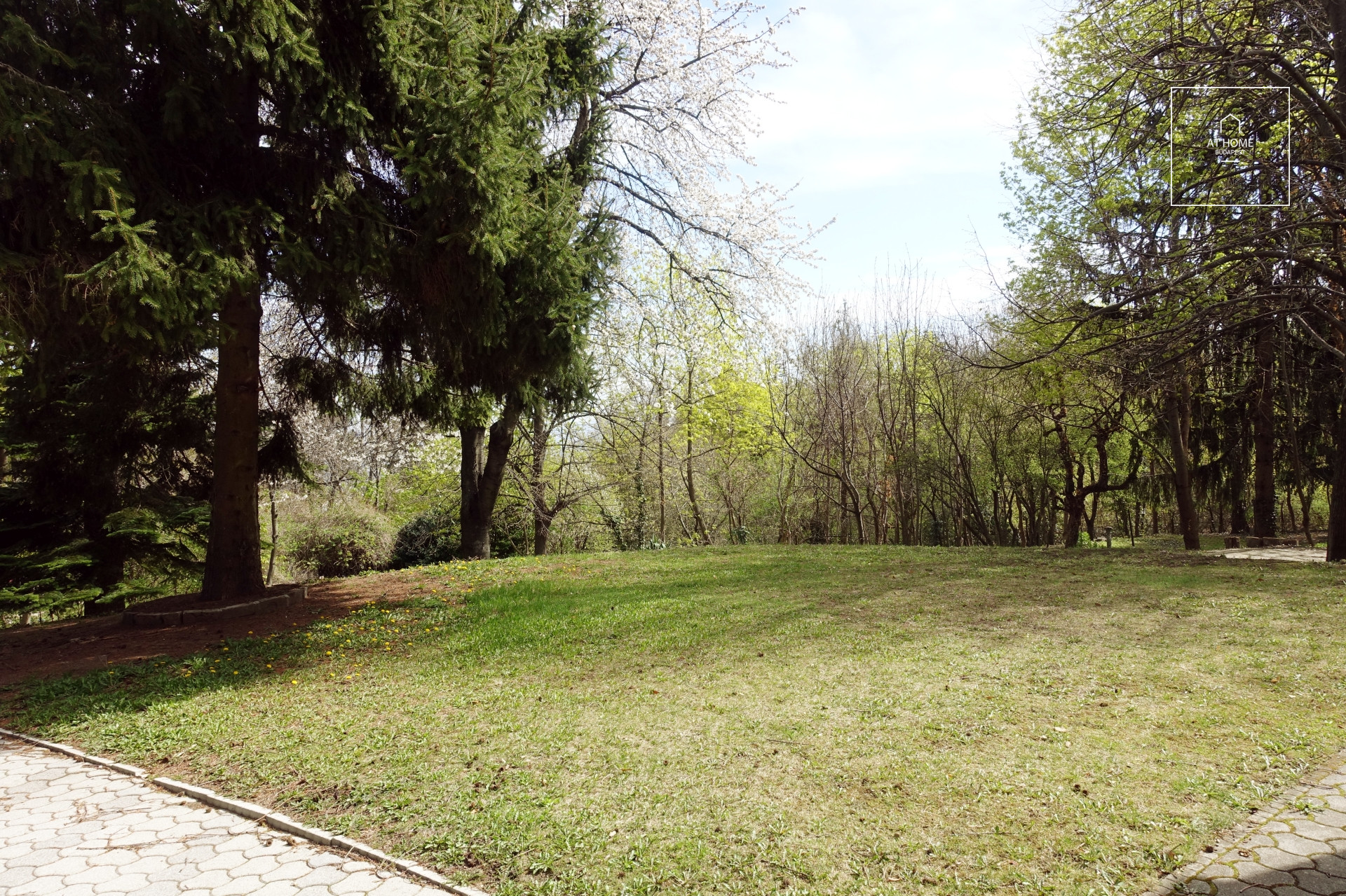 Beautiful villa in Budapest, 12 district