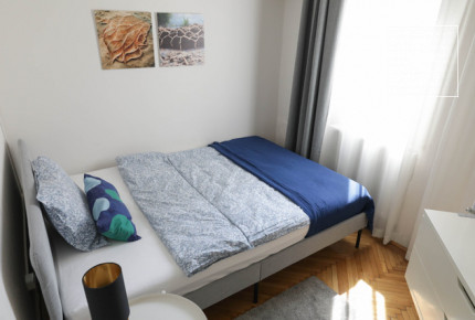 Two-bedroom renovated apartment for rent in 13th district, Lipótváros