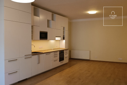 Renovated apartment for rent in Budapest, District I, Krisztinaváros