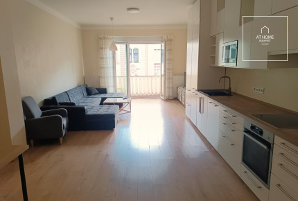 Renovated apartment for rent in Budapest, District I, Krisztinaváros