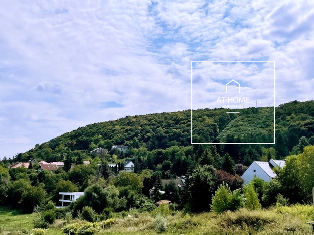 Új építésű, kertkapcsolatos panorámás családi ház eladó Budapest II/A. kerület, Budaliget