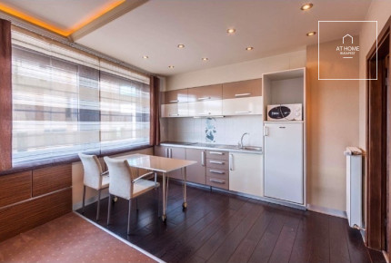 Premium apartment for rent in Budapest, District IX, Ferencváros