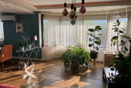 Panoramic detached house for rent in the 3rd district of Budapest, Ürömhegy