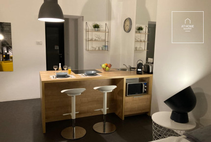 Modern Studio for Rent in Loft Astoria, Downtown Budapest