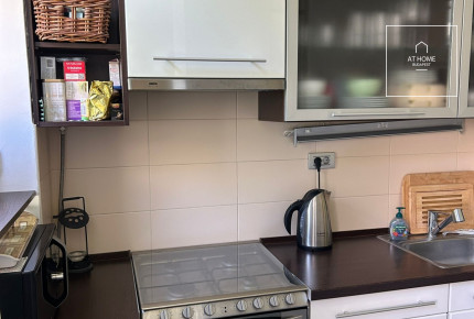 Two-bedroom apartment with private garden for rent in Budapest, District I, Krisztinaváros