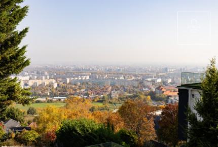 Magazinba illő, környezetbarát otthon festői kilátással, nemzetközi iskola közelében III. kerület, Remetehegy