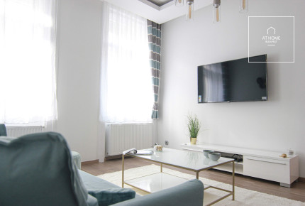 Refurbished 3-bedroom apartment for rent in the Palace quartier