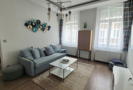 Refurbished 3-bedroom apartment for rent in the Palace quartier
