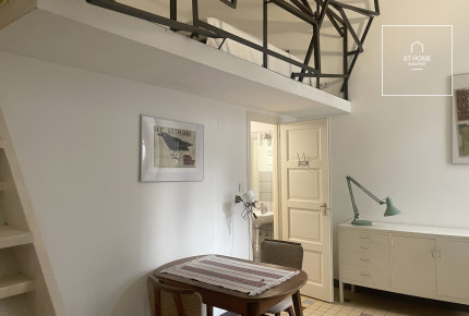 3 bedroom renovated apartment Palotanegyed, Budapest