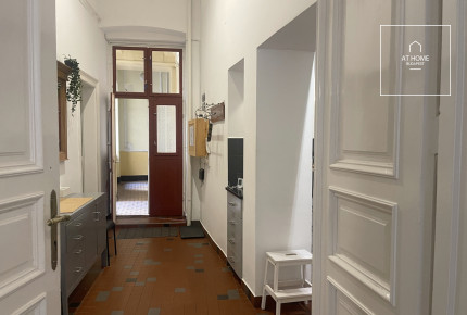 3 bedroom renovated apartment Palotanegyed, Budapest