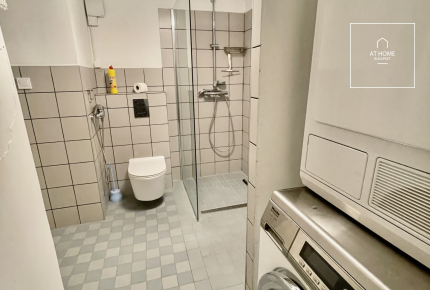 3 bedroom renovated apartment Palotanegyed, Budapest