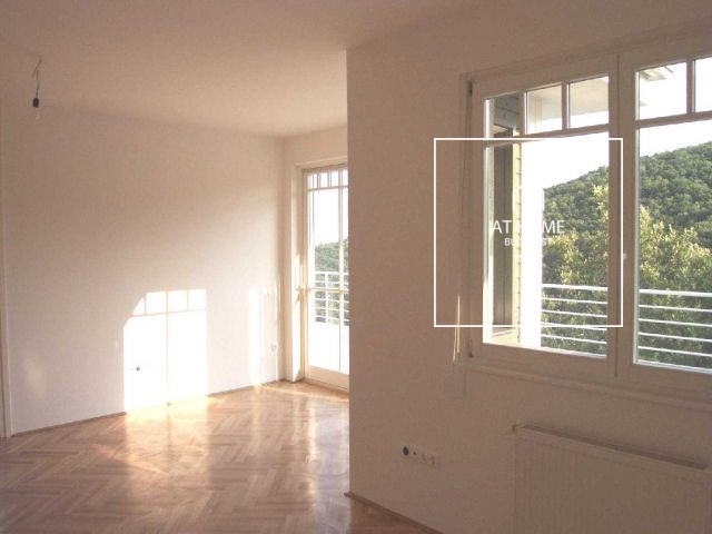 Refurbished sunny detached house for rent Budapest XII. district, Farkasvölgy