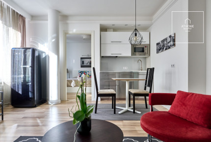 Wonderful apartment for rent Budapest I. district, Naphegy