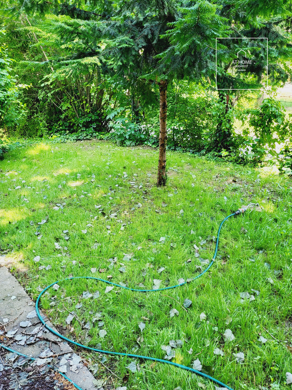 Renovated 3-bedroom luxury apartment in a green environment, District XII, Orbánhegy