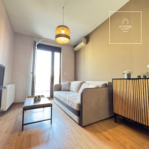 Stunning apartment for rent Budapest VI. district, Terézváros