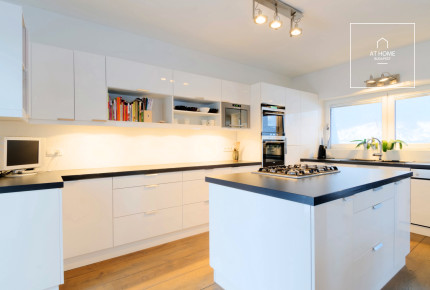 Lovely family house for sale Budapest, district 12, Széchenyihegy