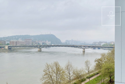 Panoramic  1-Bedroom Apartment with Danube view for rent in district IX