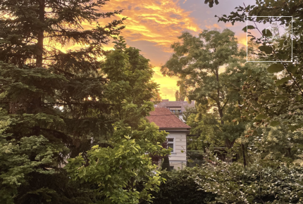 Impressive villa for sale in Budapest, district 2