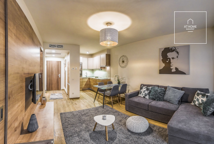 Premium 45 sqm 1-bedroom apartment in District VI, Terézváros