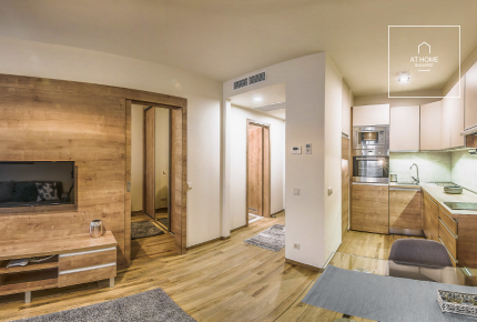 Premium 45 sqm 1-bedroom apartment in District VI, Terézváros