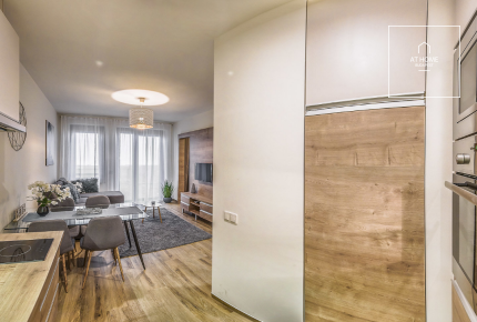 Premium 45 sqm 1-bedroom apartment in District VI, Terézváros
