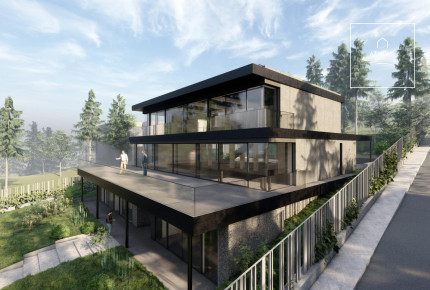 Newly-built minimal style family house for sale, Budapest, district 12.