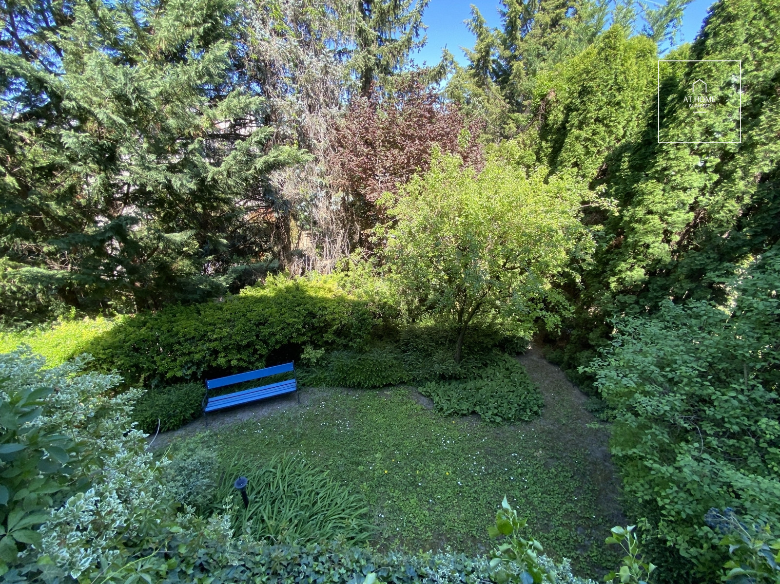 3 bedroom apartment with huge terrace and garden connecton for rent Budapest II. district, Szépilona