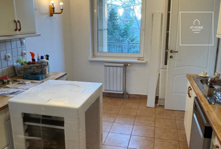 3 bedroom apartment with huge terrace and garden connecton for rent Budapest II. district, Szépilona