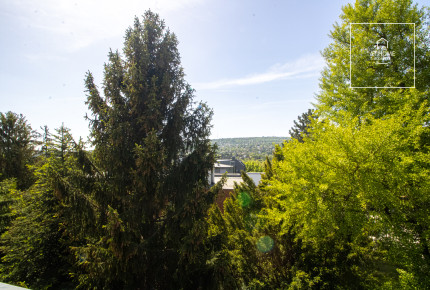 Wonderful apartment for rent with view in the II. district
