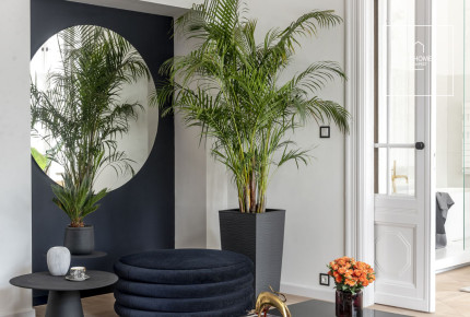 Premium Apartment for Sale in Downtown Budapest