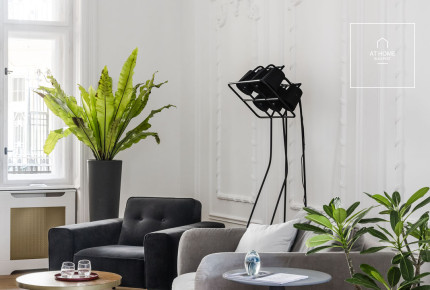 Premium Apartment for Sale in Downtown Budapest